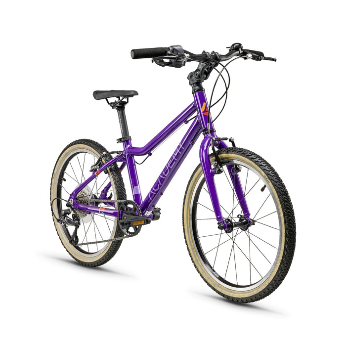 academy fahrrad 20 zoll gebraucht Kinderfahrrad ACADEMY GRADE 4